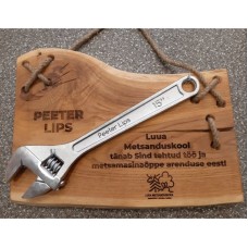 Puitplaat "Töö kiidab tegijat"