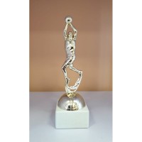 Auhind korvpall ZU6122