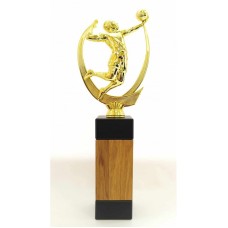 Tammepuust võrkpalli auhind JASS17