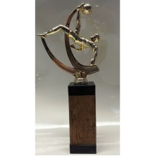 Auhind jalgpall JASS1793