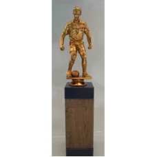 Auhind jalgpall JASS1799