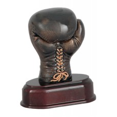 Auhind poksimine RJ280