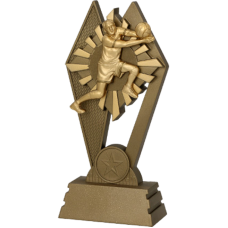 Auhind Võrkpall RP3019