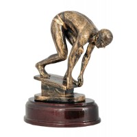 Auhind ujumine RST591