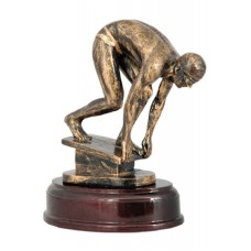 Auhind ujumine RST591