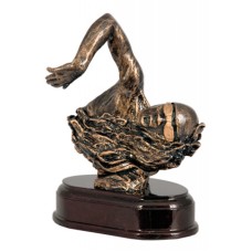 Auhind ujumine RTY671