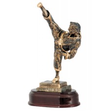 Auhind Karate RTY901