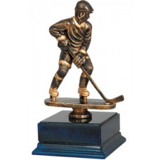 Auhind Jäähoki RW1017