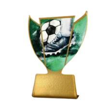 Karikakujuline metallist jalgpalliplaat SL-SOC1