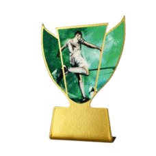 Karikakujuline metallist jalgpalliplaat SL-SOC2