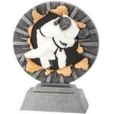 Auhind  Judo M FG1041