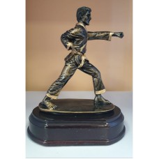 Auhind karate RJ161R