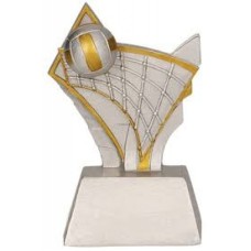 Auhind võrkpall RE025