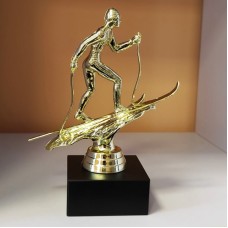 Auhind suusatamine ST34538/G