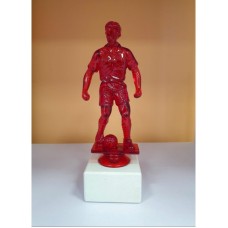 Auhind Jalgpall ZU6102