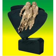 Auhind Jalgratas RFEL5018/BK/G