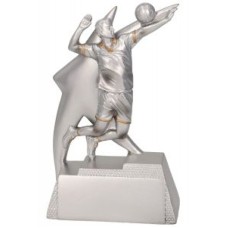 Auhind  Võrkpall RP7003