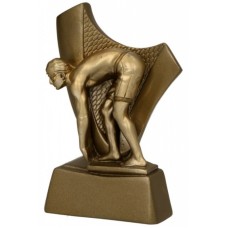 Auhind Ujumine RP4018