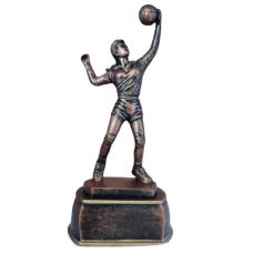 Auhind  Võrkpall 37195