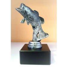 Auhind kalastus Ahven