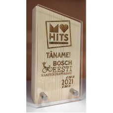 Puidust auhind klaasiga