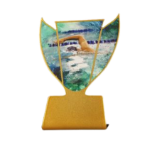 Karikakujuline metallist Ujumise plaat SL-SWIM