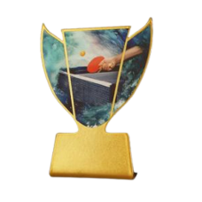 Karikakujuline metallist Lauatennise plaat SL-TAB