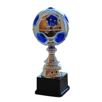 Suur jalgpalli karikas ZU399-0