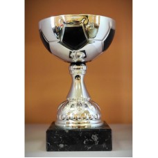 Karikas jalgpall ZU244