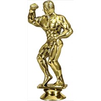 Figuur  Atleet F43/G