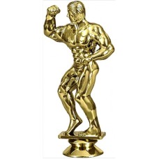 Figuur  Atleet F43/G