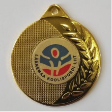 Medal 50 mm ZU2630