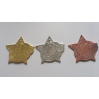  Metallmedal JaPa UK3/29