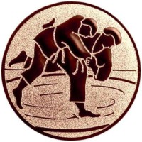 Žetoon judo 25mm pronks