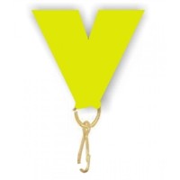 Medalipael kuld 22 mm