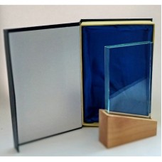 Klaasist ja puidust auhind meenekarbis ZU4466