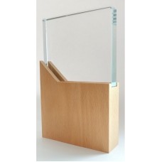 Klaasist ja puidust auhind meenekarbis ZU4457