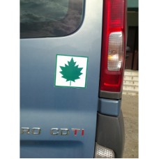 Automagnet pehme Vahtraleht